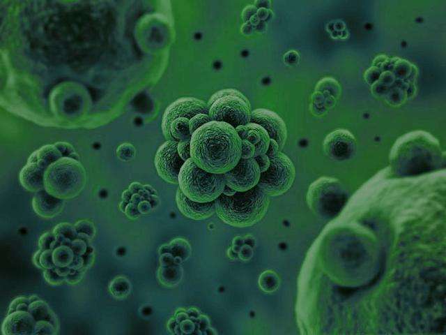 微生物是通過(guò)何種方式將廢水中的污染物分解去除掉的？