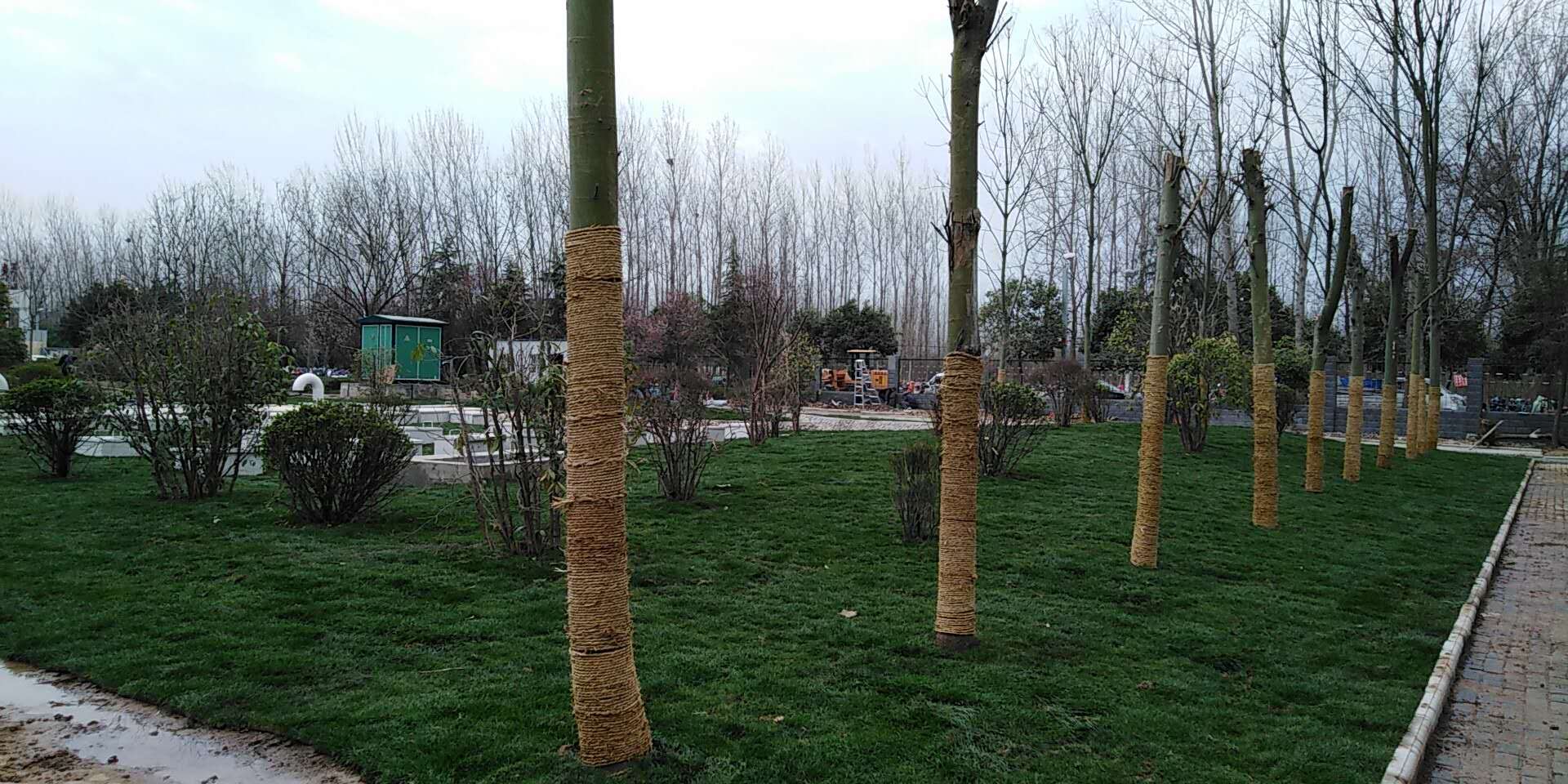 6、平輿縣一高地埋式污水處理2