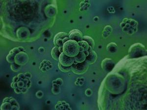 微生物是通過何種方式將廢水中的污染物分解去除掉的？